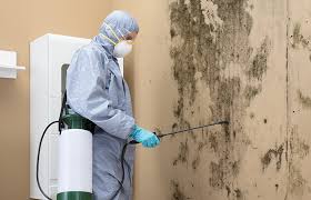 Best Water Damage & Mold Remediation  in Landrum, SC